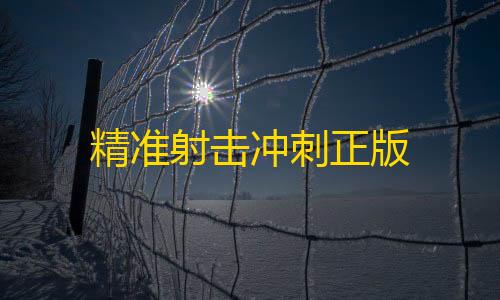 mc我的世界正版下载精准射击冲刺正版